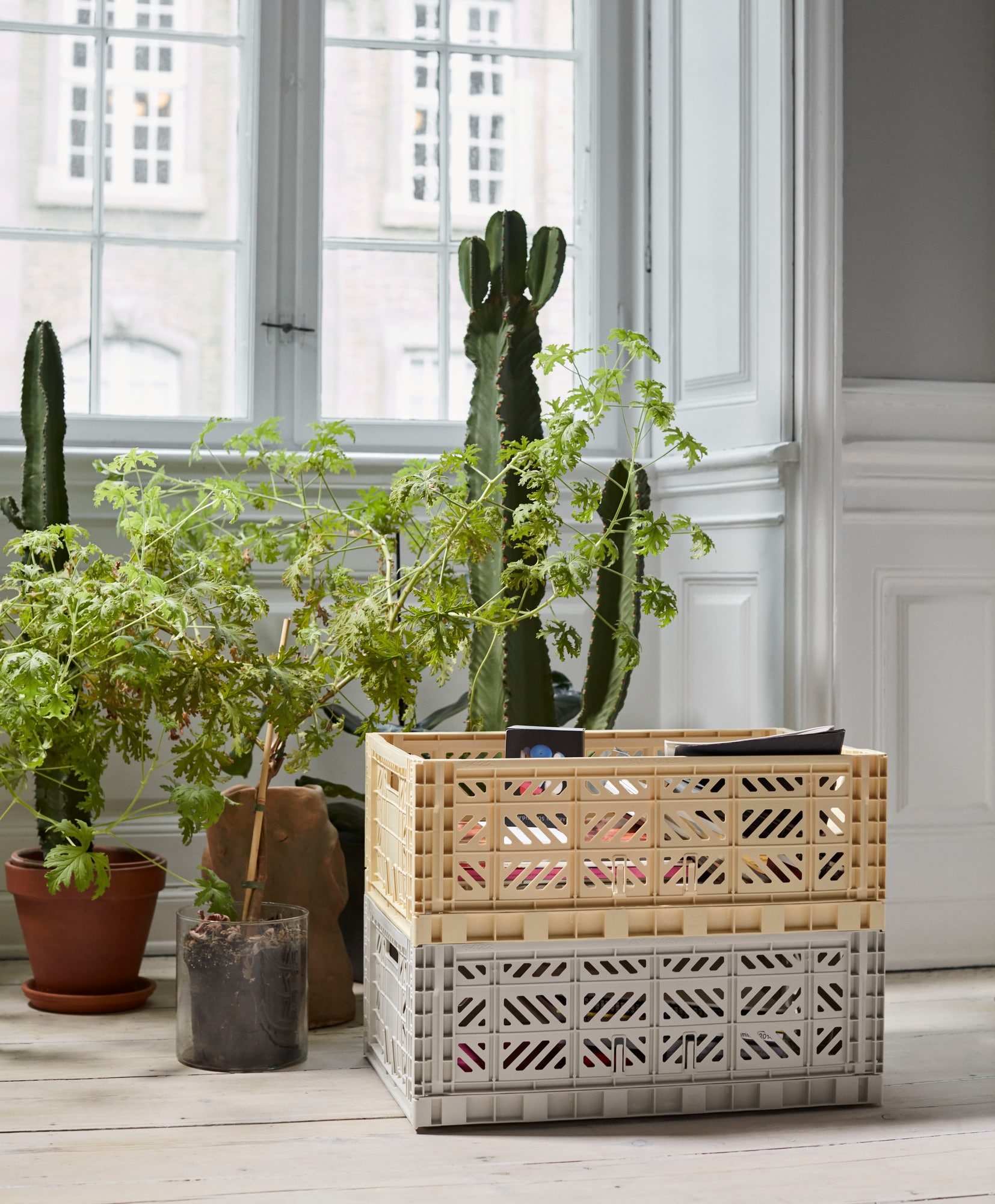 Curverest Winkel 36 Curverest Winkel -Curverest Winkel Hay Colour Crate Aufbewahrungskorb 22a9d7 min